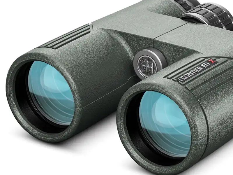fbt theme optics