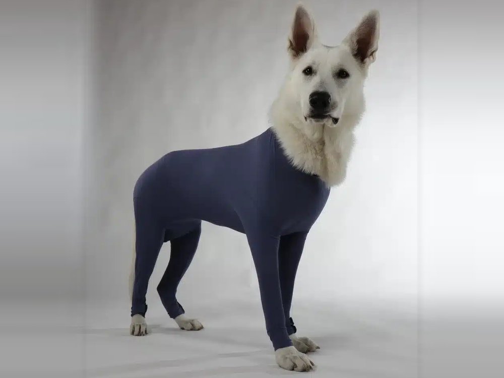 opbody theme dogs