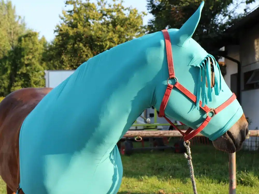 opbody theme horses